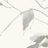 Tilia Leaves Wallpaper - Soft Neutral - Ballard Designs Soft Neutral - Ballard Designs