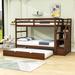 Deyaan Twin Over Twin Standard Bunk Bed w/ Trundle by Harriet Bee in Brown | 61 H x 42 W x 94 D in | Wayfair 217ACAB20DA74870AAE8DF72F6ABFC93