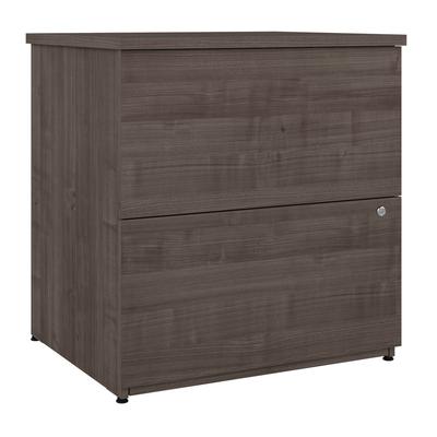 Ridgeley 28W 2 Drawer Lateral File Cabinet in medi...