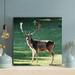 Loon Peak® Brown Deer On Green Grass Field During Daytime 9 - 1 Piece Square Graphic Art Print On Wrapped Canvas in Brown/Green | Wayfair
