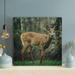 Loon Peak® Brown Deer Standing On Grass - 1 Piece Square Graphic Art Print On Wrapped Canvas in Brown/Gray/Green | 32 H x 32 W x 2 D in | Wayfair