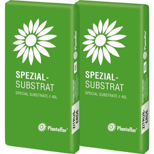 Plantaflor - Spezial Substrat Zitruserde Mediterranpflanzenerde 80 l (2 x 40 l)
