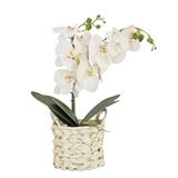 21" White Orchid Flower in White Basket by National Tree Company - 21 in