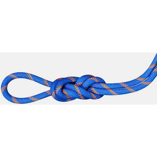 MAMMUT 9.0 Alpine Sender Dry Rope, Größe 50 in Blau