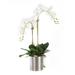 Jenny Silks Real Touch Orchid Centerpiece in Pot Plastic | 29 H x 19 W x 15 D in | Wayfair F-160