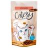 3x65g Salmon, Vitamins & Omega-3 Catessy Crunchy Cat Snacks