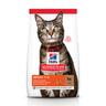 3kg Lamb Adult 1-6 Hill's Science Plan Dry Cat Food