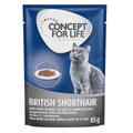 48x85g Ragout British Shorthair Adult Concept for Life Wet Cat Food