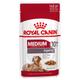 40x40g Ageing Medium Royal Canin Wet Dog Food