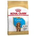 2x3kg Puppy Cocker Spaniel Breed Royal Canin Dry Dog Food