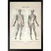 Trinx Human Muscles German 1896 Diagram Engraving Matted Framed Art Print Wall Decor 20X26 Inch Paper | 26 H x 20 W x 1.5 D in | Wayfair