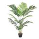 Blooming Artificial - Artificial Palm Tree, Realistic Fake Paradise Palm Plant Indoor for the Home and Office, Year Round Decorative Plastic Foliage (Green) (150cm)