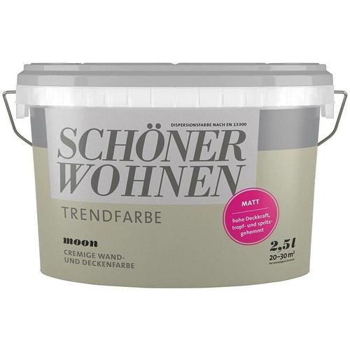 Sw Trend Wandfarbe matt 2,5L Moon 7503