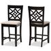 Nicolette Modern and Contemporary Transitional 2-PC Counter Stool Set
