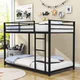 Taylour Twin Over Twin Standard Bunk Bed by Isabelle & Max™ Metal in Black | 53.7 H x 40.9 W x 77 D in | Wayfair F7660D563FA14009AAFB096D82DE7C31