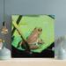 Gracie Oaks Green Frog On Green Leaf 25 - 1 Piece Square Graphic Art Print On Wrapped Canvas in Black/Brown/Green | 12 H x 12 W x 2 D in | Wayfair