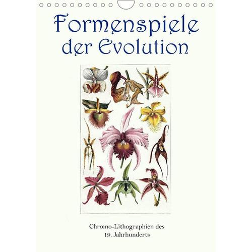 Formenspiele Der Evolution. Chromolithographien Des 19. Jahrhunderts (Wandkalender 2023 Din A4 Hoch) Von Jost Galle, Calvendo