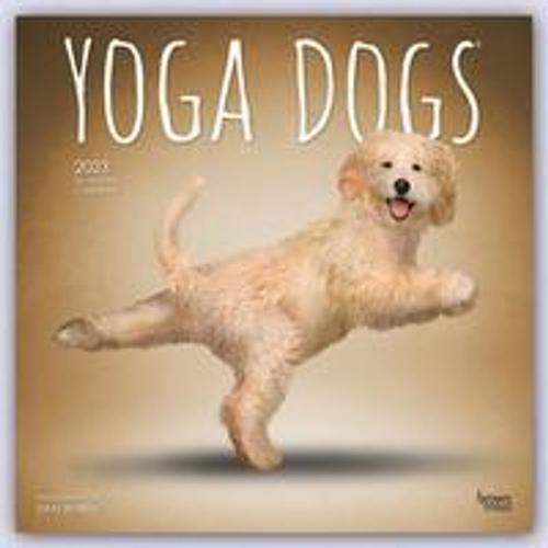 Yoga Dogs - Yoga-Hunde 2023 - 16-Monatskalender Von Browntrout Publisher, Browntrout