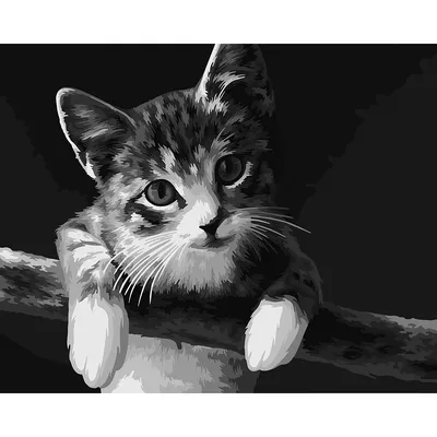 Malen nach Zahlen auf Leinwand Katze, 50 x 40 cm Image