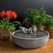 Winston Porter Chrisalyn Concrete Songbird Fountain | 6.5 H x 14.25 W x 14.25 D in | Wayfair E2D5E97451D249809F14D0361DA0CAC3