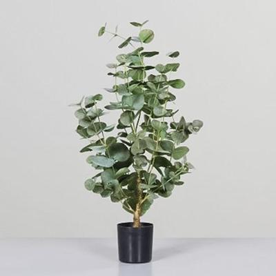 Kunstpflanze Eukalyptus in schwarzem Kunststofftopf, 70 cm