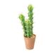 Primrue 18" Artificial Cactus Plant in Pot Terracotta | 18 H x 5.75 W x 6 D in | Wayfair A2EDD5E0A4734B238FE9BE91112B2F44
