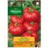 Vilmorin - Graines de la tomate Marmande S-1 769, 5 gr