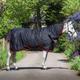 GS Equestrian Combo Neck 200g Turnout Rug (5'6, Black/Red)