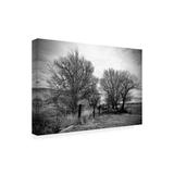 Latitude Run® by Susan Vizvary - Wrapped Canvas Photograph Canvas, Cotton in Black/White | 16 H x 24 W x 2 D in | Wayfair