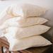Eider & Ivory™ Ewer Linen Pillowcase Linen | Standard | Wayfair 656BC1FDB7B1416788810E4651B6EE5D