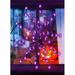 The Holiday Aisle® Halloween Decorations Purple Lights Spider Web 24In 60LED Spider Web Lights w/ Spider | Wayfair 233EB4EA8FAE4E34B73B67B67943C11F