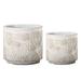 Dakota Fields Alomar 2-Piece Cement Pot Planter Set | 6.75 H x 7.25 W x 7.25 D in | Wayfair A3B72FCE9E504B529F18F6102A219C03