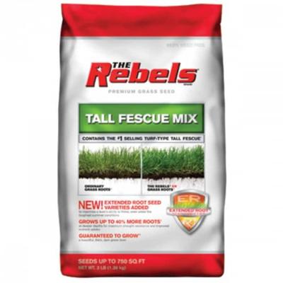 The Rebels 100526887 Tall Fescue Mix Extended Root Grass Seed, 3 Lb