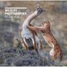 Wildlife Photographer Of The Year: Portfolio 29 - Rosamund Kidman Cox, Gebunden