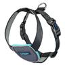 CarSafe Pettorina per cani, nera - L: 72 - 90 cm circ. torace