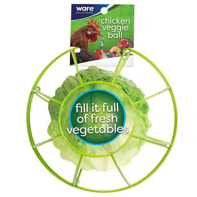 WARE Chick-N-Veggie Ball Toy, Medium