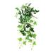 Primrue Artificial Variegated English Ivy Hanging Plant Plastic | 24 H x 12 W x 6 D in | Wayfair B73B7F9C30244216A09127EA9F172AE7