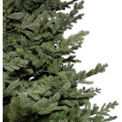 10-Ft. Foxtail Pine Christmas Tree - Fraser Hill Farm FFFX010-0GR