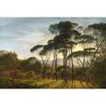 Papier peint panoramique nature effet peinture | Tapisserie panoramique arbre & rayons du soleil |