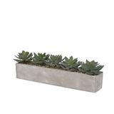 Jenny Silks Faux Echeverias w/ Pebbles Succulent Floral Arrangements in Pot Faux Silk | 7.5 H x 27 W x 7 D in | Wayfair S-41