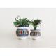 Ceramic flower Pots | mini planters | 2 clay Succulent Planters Minimalist | Bohemian Indoors Outdoors Garden