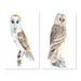 Loon Peak® Portrait Of A Barn Owl II - Traditional Art Set Of 2 Pieces Canvas in Gray | 20 H x 24 W x 1 D in | Wayfair