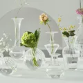 Vase transparent en verre transparent pour la décoration intérieure moderne ensemble de vases