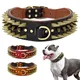 Collier de chien en cuir durable pour grands chiens pointes pointues clouté moyen grands chiens