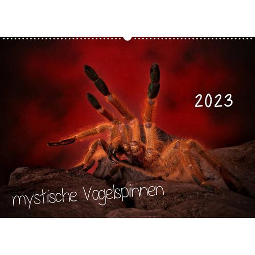 Mystische Vogelspinnen (Wandkalender 2023 Din A2 Quer)