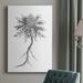 Rosalind Wheeler B&W Plant Specimen III Premium Gallery Wrapped Canvas - Ready To Hang Canvas, in Gray/White | 12 H x 8 W x 1.5 D in | Wayfair