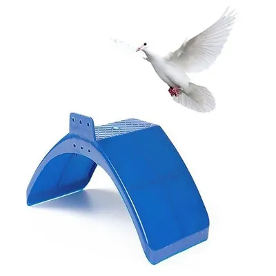 Support de pigeon de course pour animaux de compagnie équipement pour oiseaux stand de pigeon de
