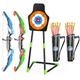 TMEI 2 Pack Bow and Arrow for Kids -Light Up Archery Toy Set -Includes 2 Bows, 20 Suction Cup Arrows & 2 Quivers & Standing Target, Outdoor Toys for Kids Boys Girls