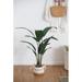 Seasonal Abode 45" Artificial Bird of Paradise Plant in Pot Plastic/Fabric | 45.3 H x 22.8 W x 15.7 D in | Wayfair SA11850-DS-AB