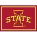 Imperial Iowa State Cyclones 2'8" x 3'10" Area Rug